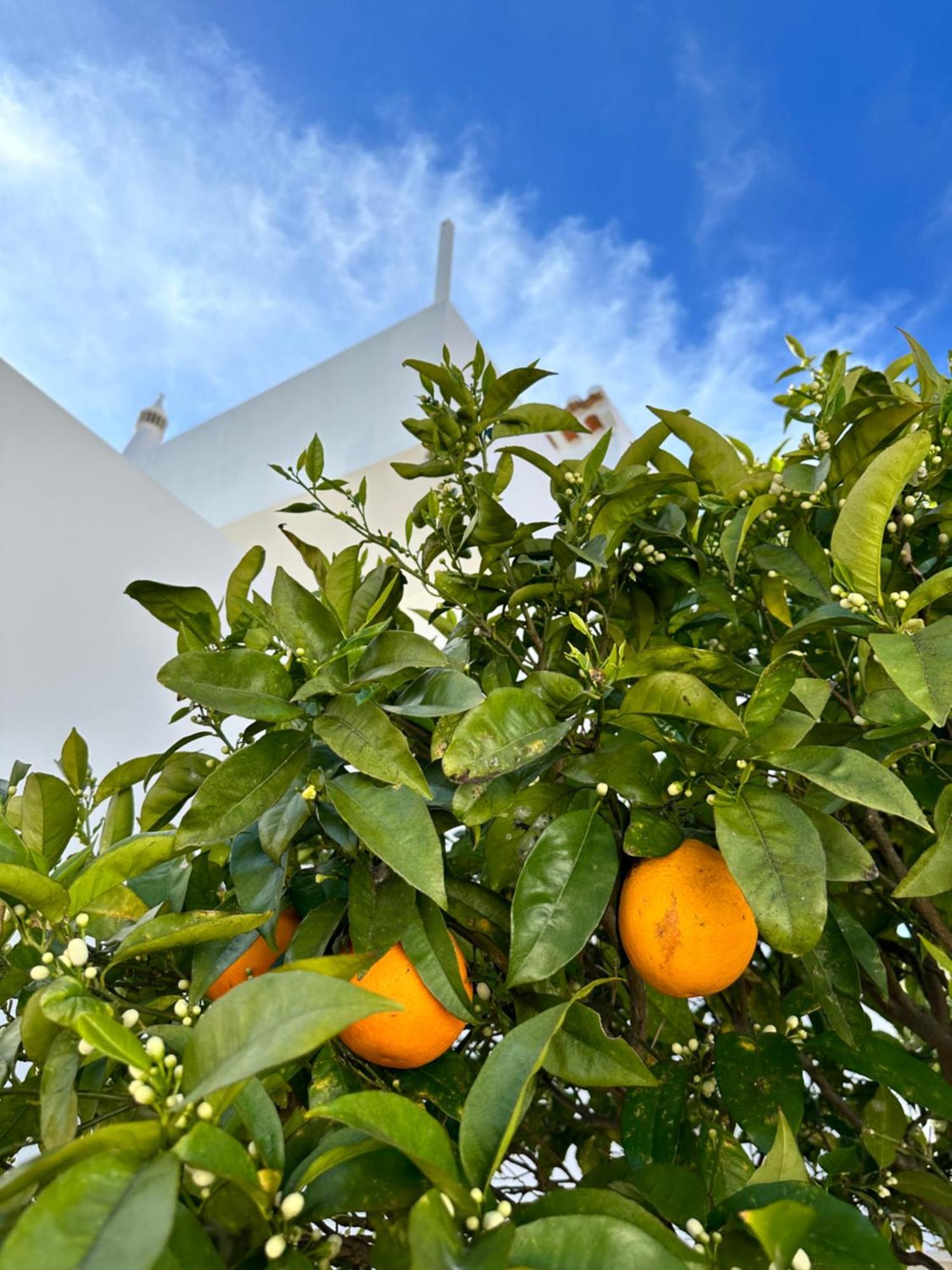 Casa Malia Luxury Guest House Praia Da Luz Экстерьер фото